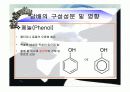 흡연의_위험성 17페이지