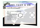 흡연의_위험성 18페이지