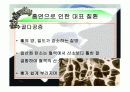 흡연의_위험성 24페이지