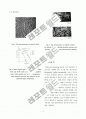 합금원소 첨가에 따른 저온용 Sn-40Bi 솔더의 기계적 물성 평가Mechanical Properties Evaluation of Sn-40Bi Solders by Alloying Elements Addition 4페이지