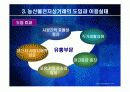 농산물 전자상거래의 문제와 과제 10페이지