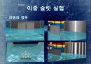 주역과 현대물리학의 관계분석(과학과 철학의 연관성 연구) 13페이지