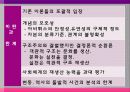 피에르 부르디외에 대한 모든것 12페이지