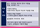 피에르 부르디외에 대한 모든것 13페이지