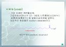 유지와 비누 7페이지