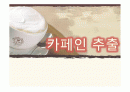 카페인 추출 1페이지