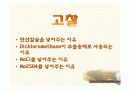 카페인 추출 13페이지