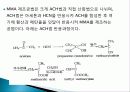 PMMA 를 이용한 콘텍트 렌즈 제작 방법 11페이지