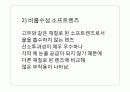   contactlens 제작  8페이지