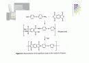 Some speciality polymers 13페이지