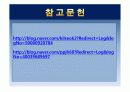 pmma를 이용 플사스틱 유리 제조 17페이지