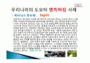 도요타 인사관리 7페이지