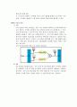 MIMO (Multiple Input Multiple Output) 기술 (WIMAX. Wibro) 완벽정리 3페이지