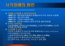 시각장애의 원인과 증세 14페이지