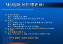 시각장애의 원인과 증세 18페이지