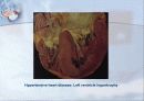 순환기계 (Cardiovascular system) 9페이지