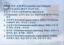 순환기계 (Cardiovascular system) 10페이지