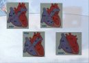 순환기계 (Cardiovascular system) 11페이지