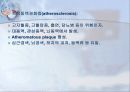 순환기계 (Cardiovascular system) 22페이지