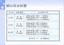 복부비만의 운동요법 치료 32페이지