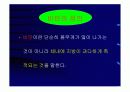 건강관리(비만대책) 3페이지