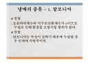냉매의 종류및 특성에 관한 보고서 10페이지