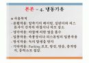 냉매의 종류및 특성에 관한 보고서 28페이지