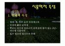 마늘 발표 ppt 11페이지