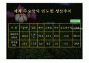 마늘 발표 ppt 16페이지