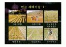 마늘 발표 ppt 30페이지