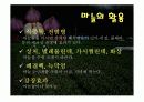 마늘 발표 ppt 45페이지