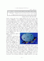 36계 인생설계 레포트  30페이지