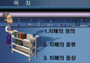 노인성 치매와 그 대책 2페이지