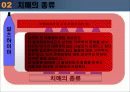 노인성 치매와 그 대책 10페이지
