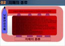 노인성 치매와 그 대책 11페이지