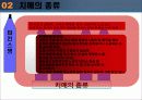 노인성 치매와 그 대책 12페이지