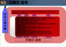 노인성 치매와 그 대책 13페이지