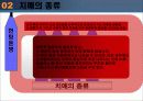 노인성 치매와 그 대책 14페이지