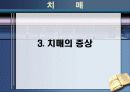 노인성 치매와 그 대책 15페이지