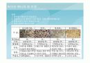 바이오 에너지 조사 발표 자료 입니다.(신재생) 6페이지