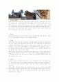 송광사 자료조사  (대웅보전,승보전,약사전,영산전)  14페이지