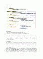 롯데제과의 마케팅 전략 10페이지