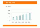 싸이월드(CYWORLD)의 전략 분석 7페이지