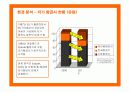 제주항공의 마케팅 전략 제안 9페이지