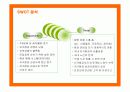 제주항공의 마케팅 전략 제안 16페이지