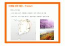 제주항공의 마케팅 전략 제안 20페이지