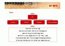 농심 신라면의 마케팅 전략 분석 23페이지