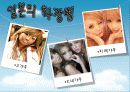 한국과 일본의 차이PPTX 7페이지