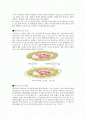 바이러스에 관한 고찰 2페이지