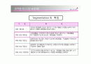 [마케팅]미샤 마케팅 실패분석 및 새로운전략 16페이지